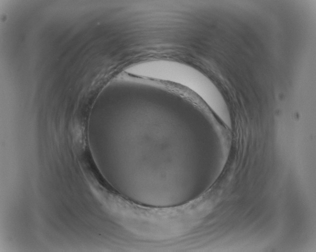 X0000078830031200611201259