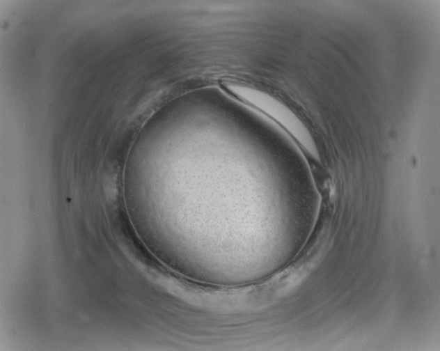 X0000078830032200611201259