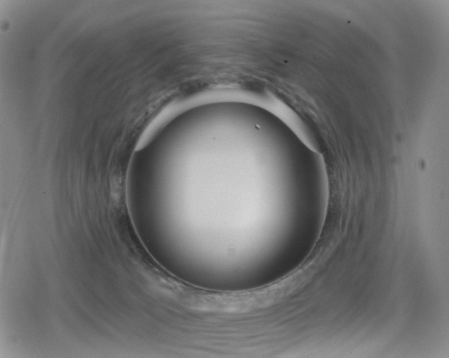 X0000078830033200611201259