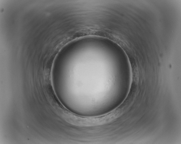 X0000078830034200611201259