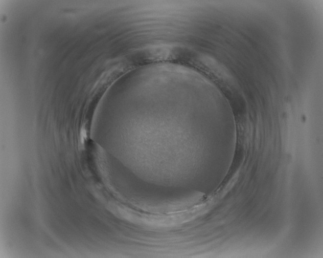 X0000078830035200611201259