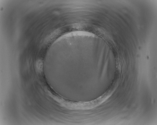 X0000078830036200611201259