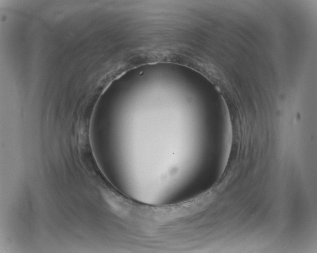 X0000078830037200611201259