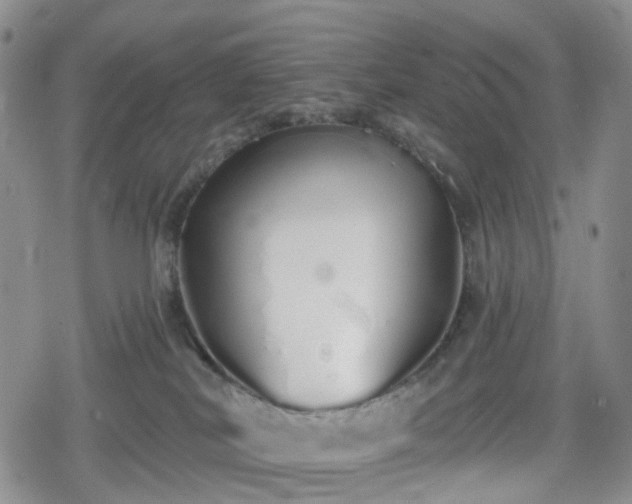 X0000078830038200611201259