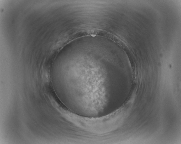 X0000078830039200611201259