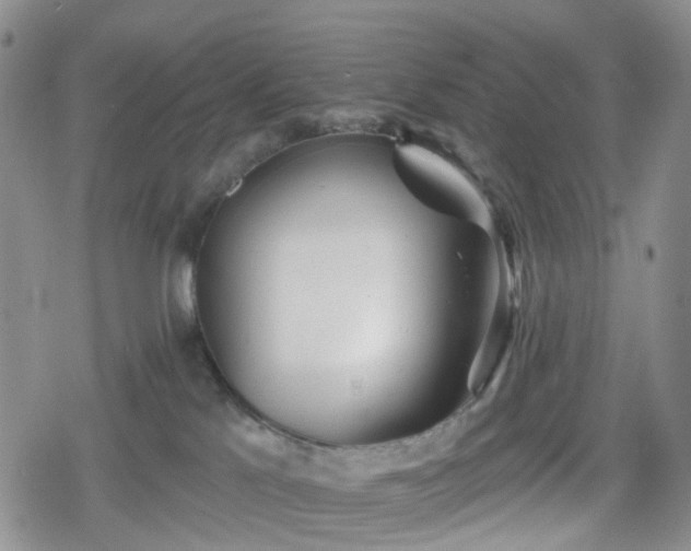 X0000078830041200611201259