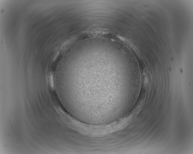 X0000078830042200611201259