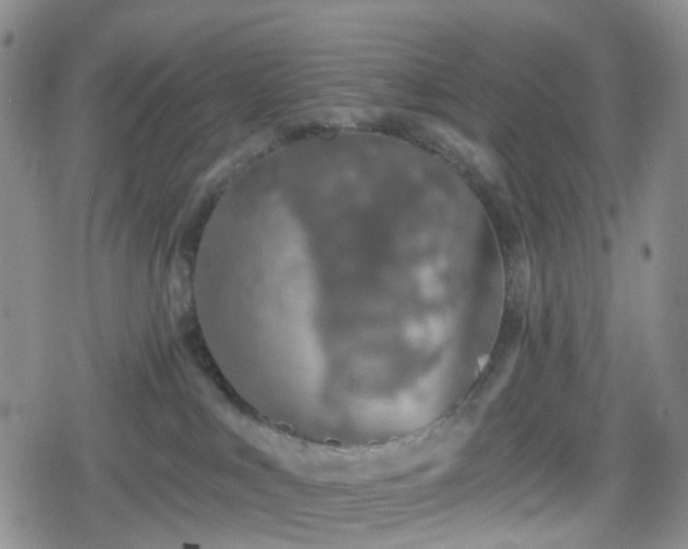 X0000078830043200611201259