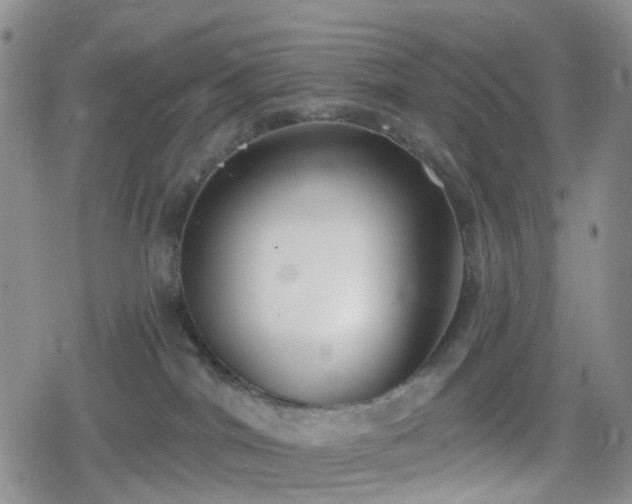 X0000078830044200611201259