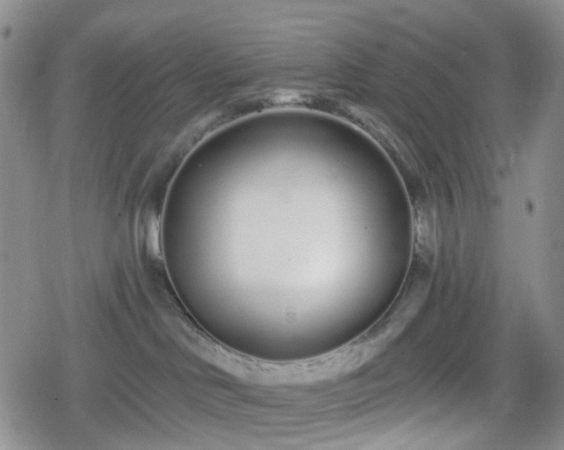 X0000078830046200611201259