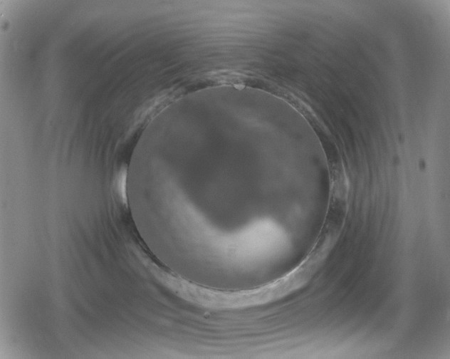 X0000078830047200611201259