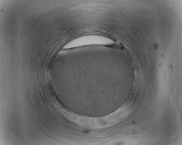 X0000078830048200611201259