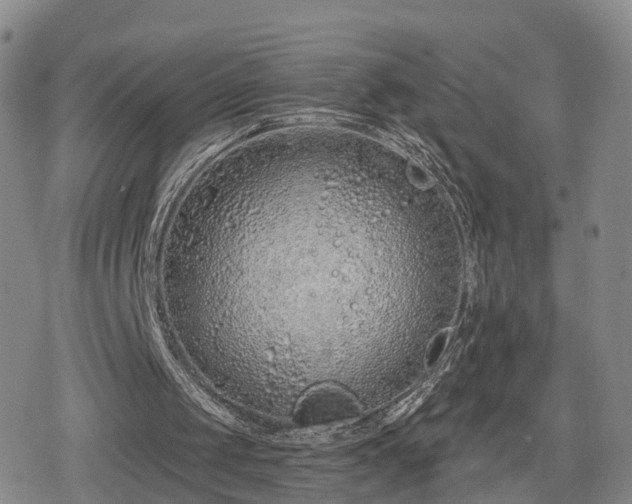 X0000078830049200611201258