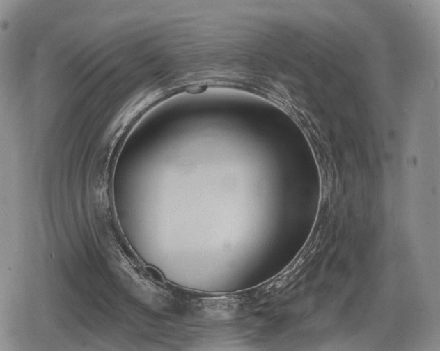 X0000078830050200611201258