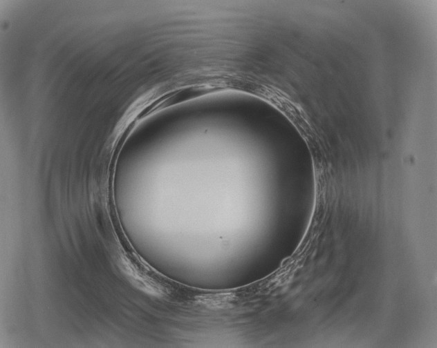 X0000078830051200611201258