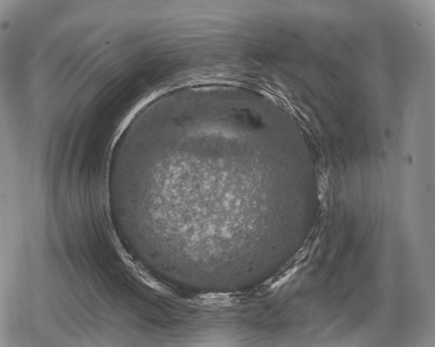 X0000078830052200611201258