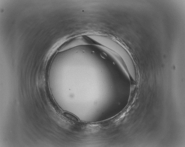 X0000078830055200611201258