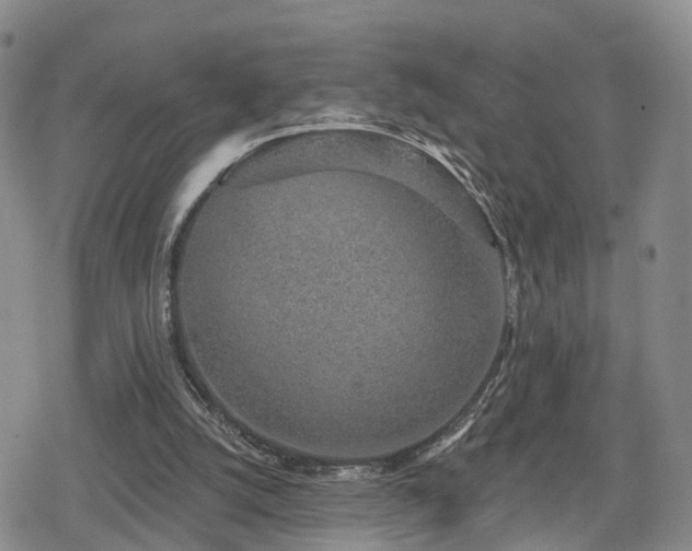 X0000078830056200611201258