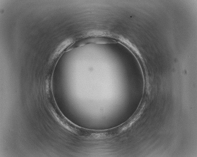 X0000078830057200611201258