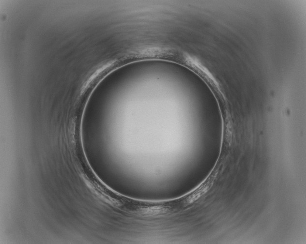 X0000078830058200611201258