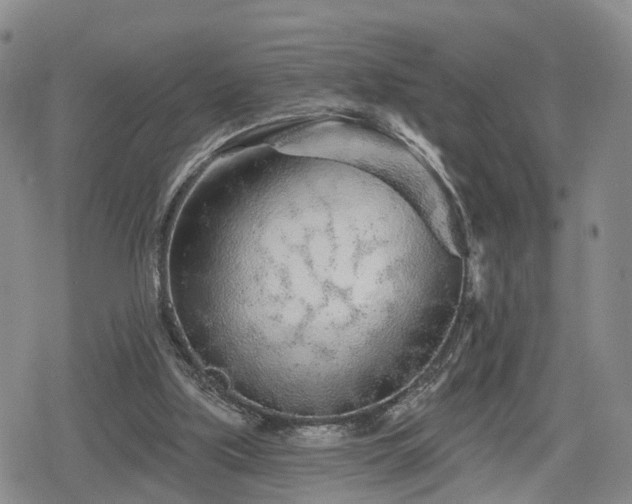 X0000078830059200611201258