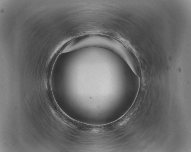 X0000078830060200611201258