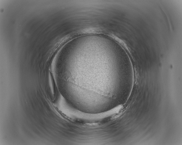 X0000078830061200611201258