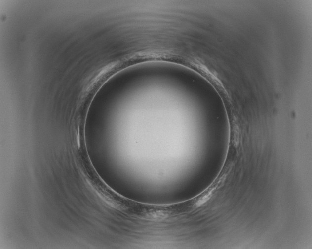 X0000078830062200611201258