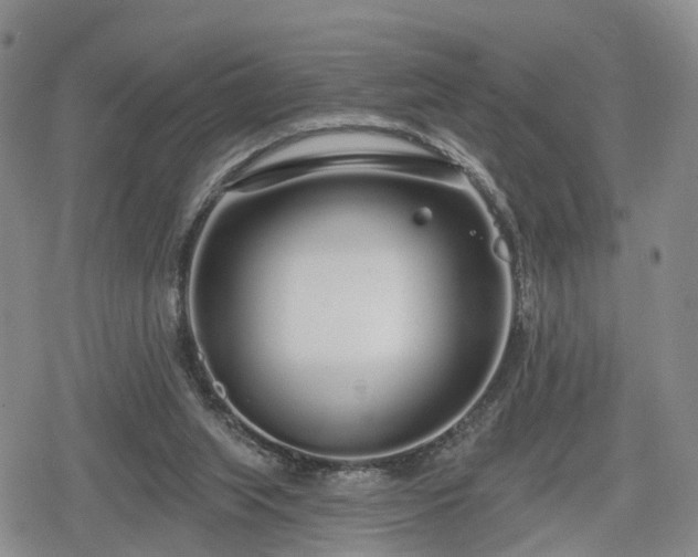 X0000078830063200611201258