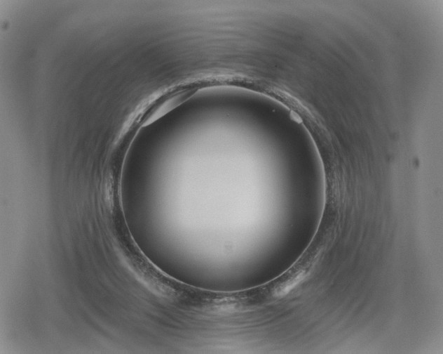 X0000078830064200611201258