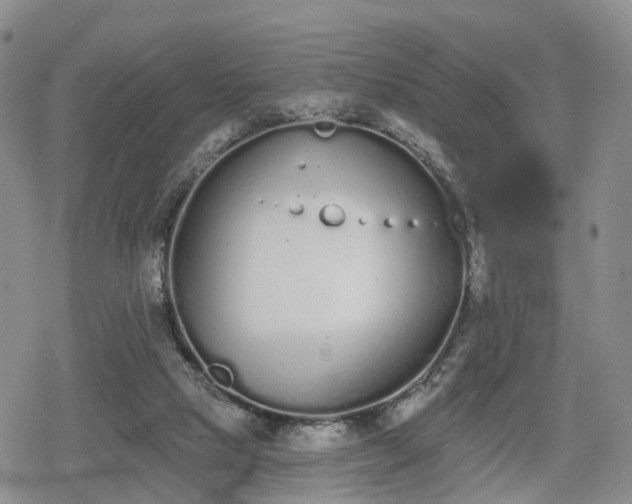 X0000078830065200611201258