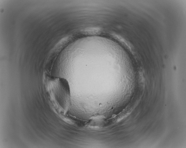 X0000078830069200611201258