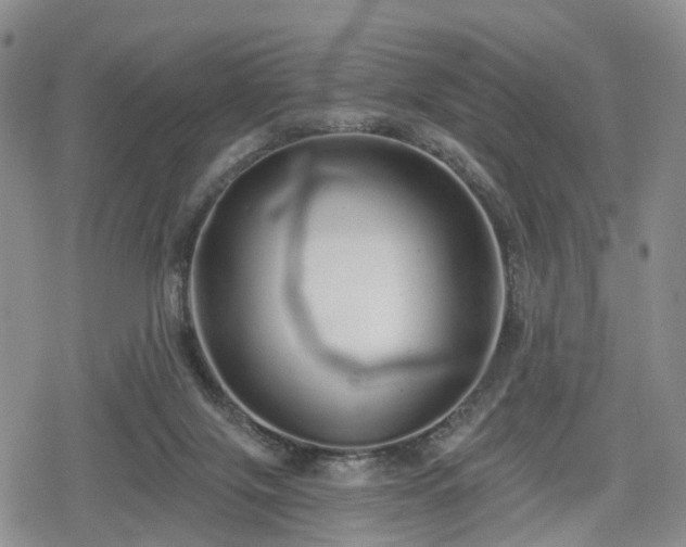 X0000078830071200611201258