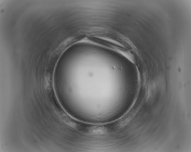 X0000078830073200611201258