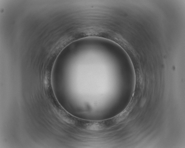 X0000078830074200611201258