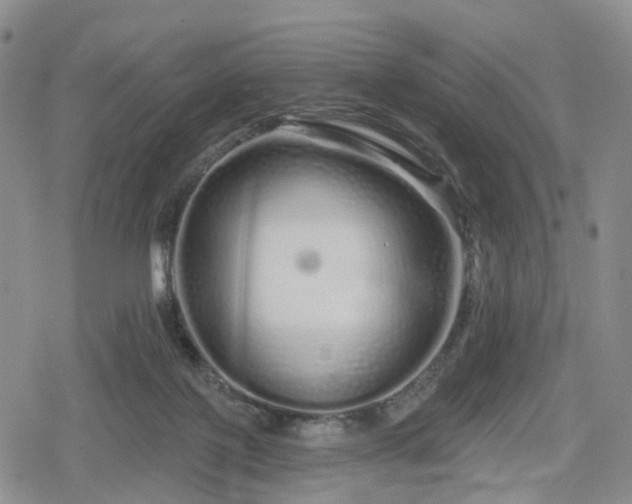 X0000078830075200611201258