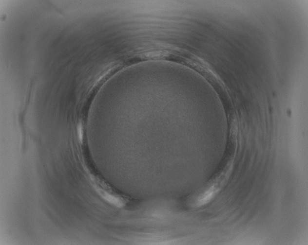 X0000078830076200611201258