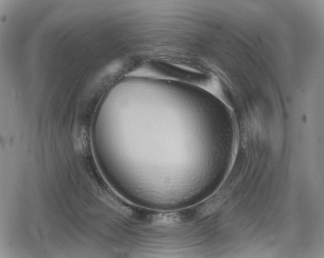 X0000078830077200611201258