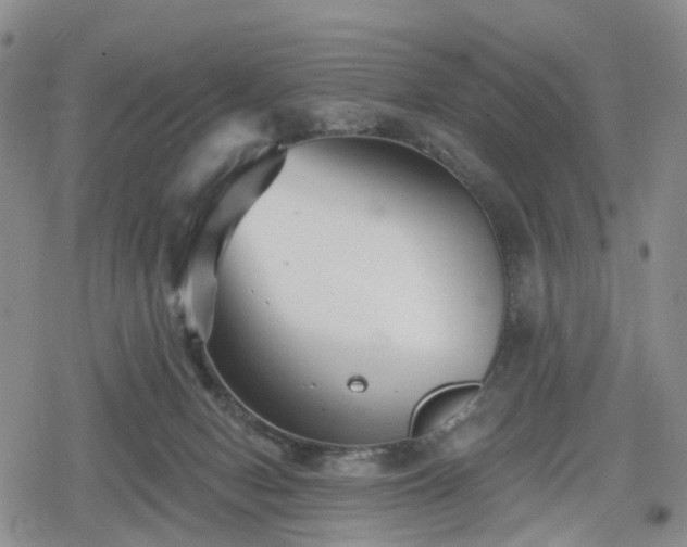 X0000078830078200611201258