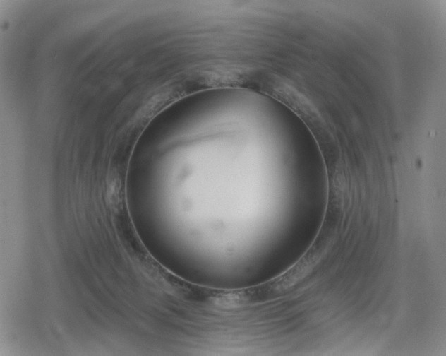 X0000078830079200611201258