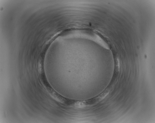 X0000078830080200611201259