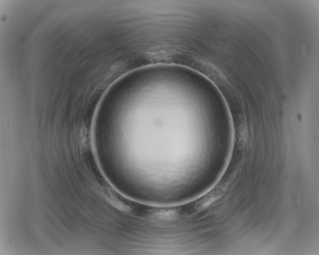 X0000078830081200611201259