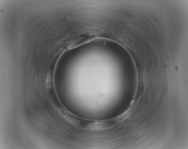 X0000078830082200611201259