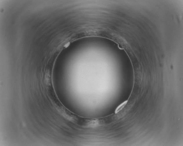 X0000078830083200611201259