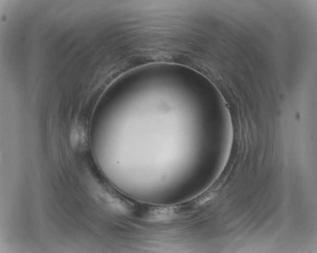 X0000078830084200611201259