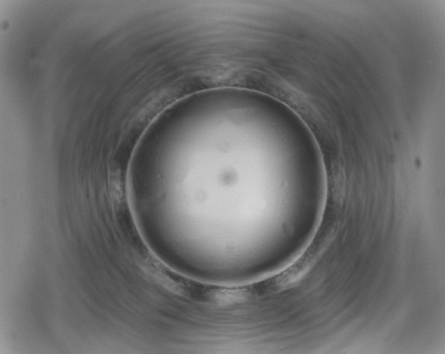 X0000078830085200611201259