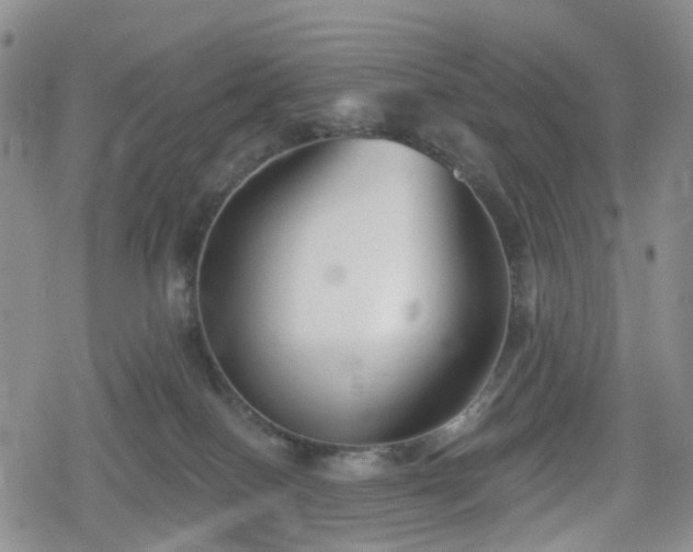 X0000078830086200611201259