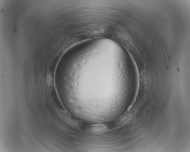 X0000078830087200611201259