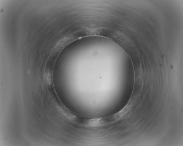 X0000078830090200611201259