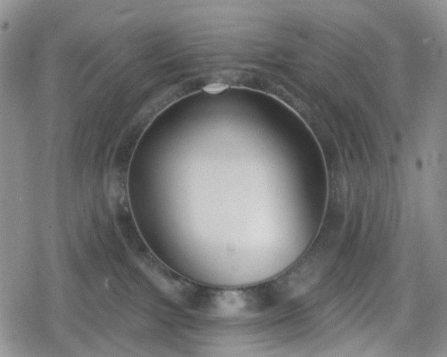 X0000078830091200611201259